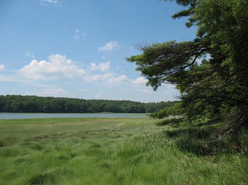 Kate Furbish Preserve