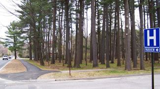 Spring and McKeen Lot