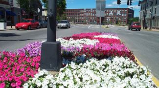 Maine Street Station Park