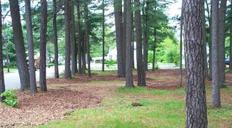 Chamberlain Avenue Esplanade