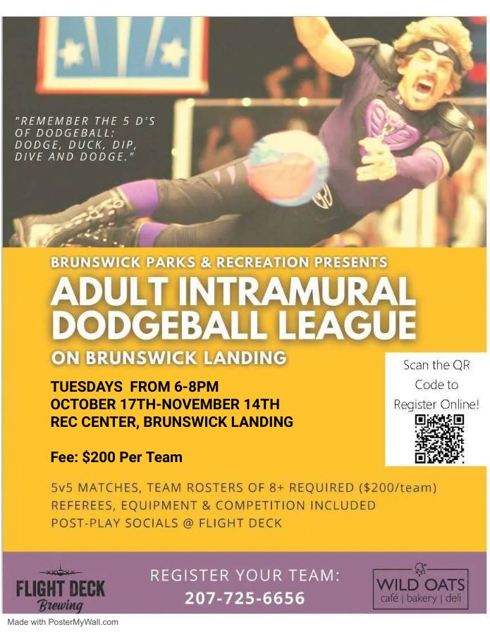 Adult Dodgeball 2023
